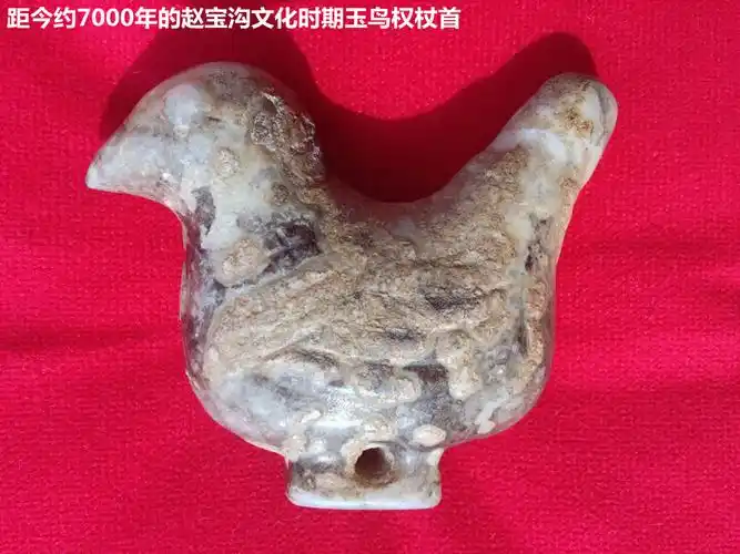 赵宝沟文化时期玉鸟权杖首距今约7000年左右