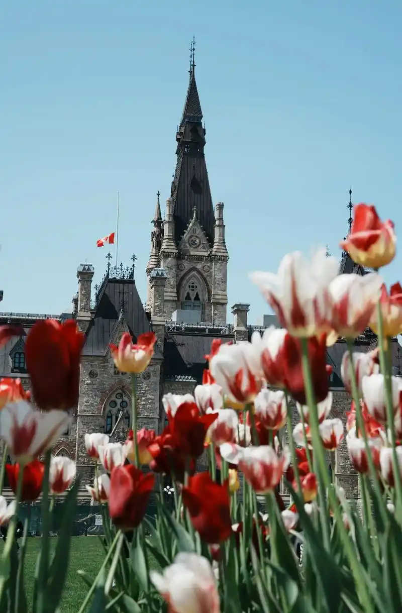 旅行plog9896渥太华国会山.说到加拿大首都渥太华,很多 - 抖音