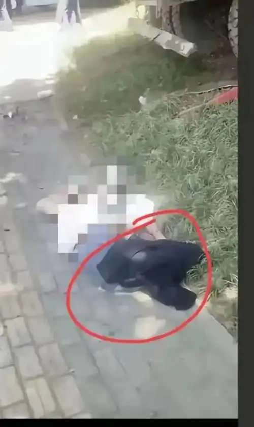 南通车祸女孩盖衣服男子现身灵堂!女孩妈妈发声,大哥回应