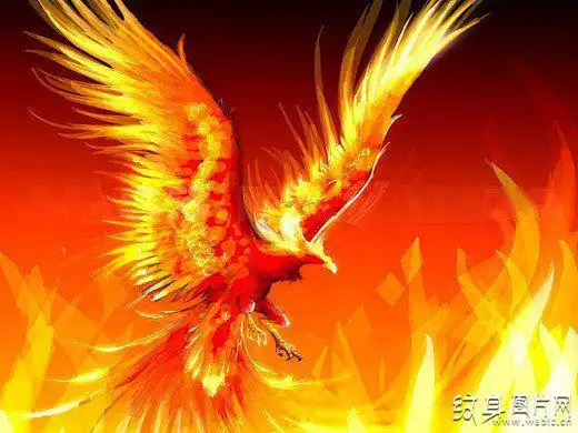 权利与复活之鸟火凤凰纹身图案与手稿欣赏