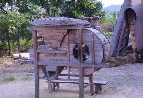 老式打谷机是那的亲切,他们曾经有模有样地跟在大人身后帮忙打过稻谷