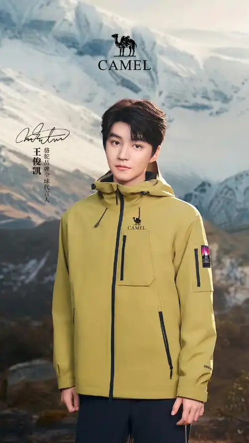 王俊凯骆驼品牌全球代言人