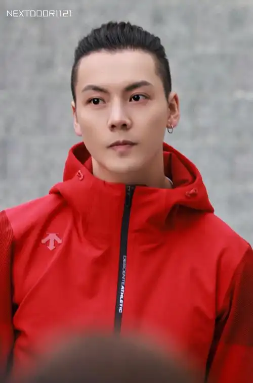 陈伟霆代言迪桑特