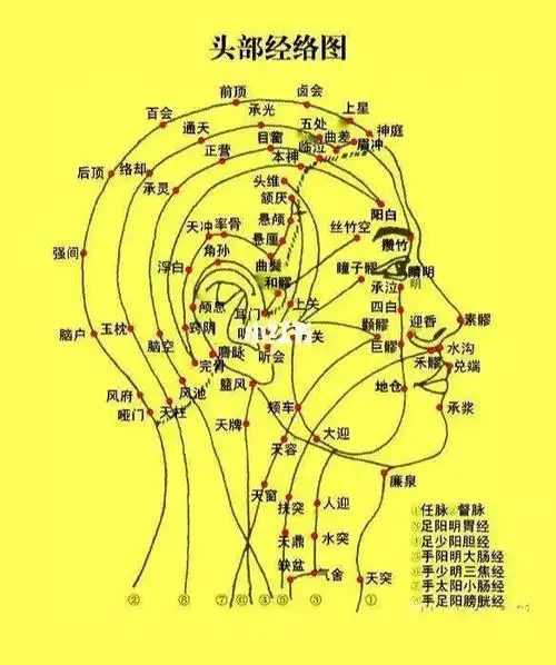 自我经络疏通之满脸油光恢复清爽