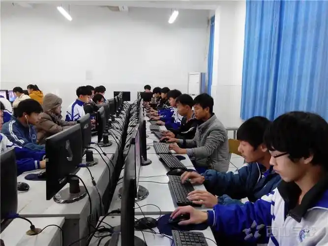 电脑课整理内务运动照