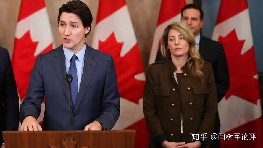 中国第一时间对等反制加拿大挨打要立正