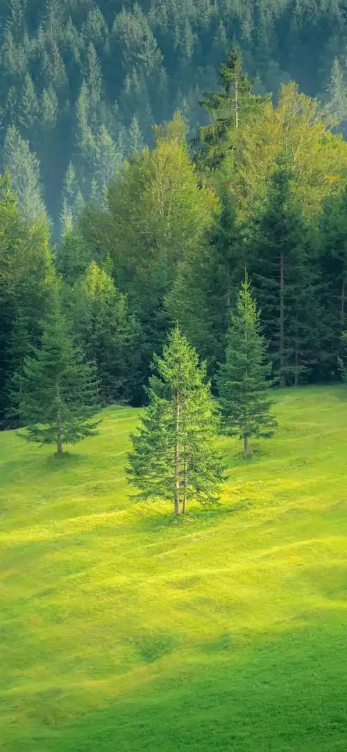 高清风景壁纸绝美风景风光无限美丽壮观令人陶醉