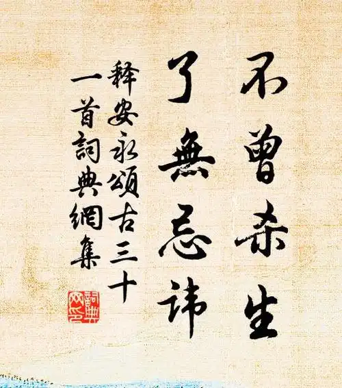 不曾杀生了无忌讳