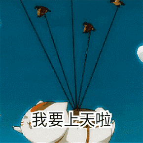 猫咪飞起来我要上天啦天空gif动图_动态图_表情包下载_soogif
