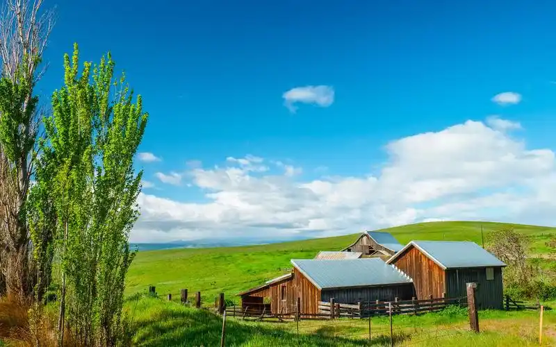 绿色护眼草原风景小清新唯美护眼高清壁纸