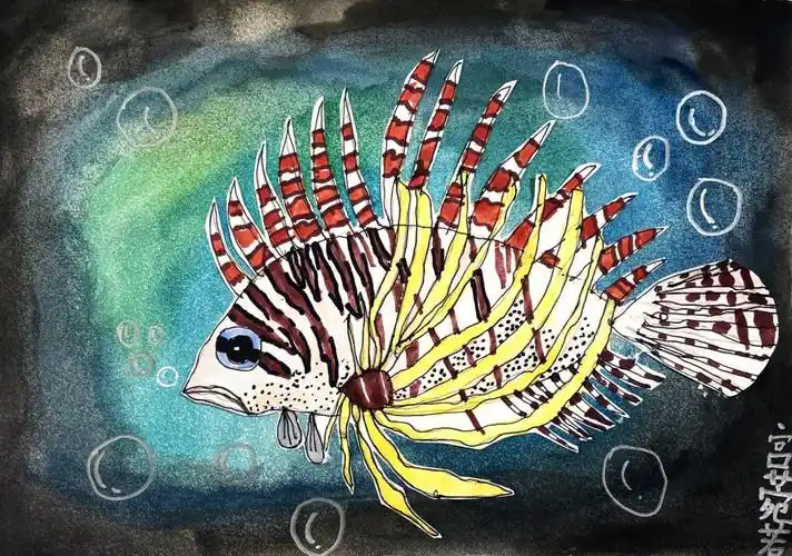 狮子鱼照片写生7岁小朋友课程