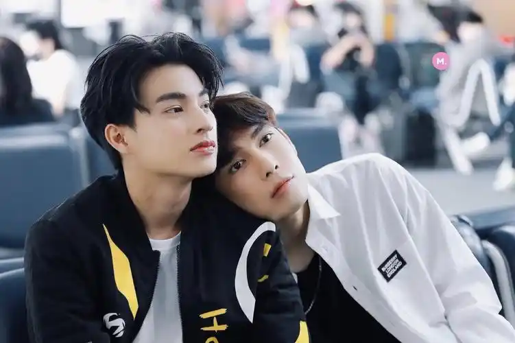 mewgulf(缪糕) - 堆糖,美图壁纸兴趣社区