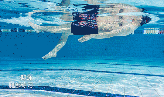 快速学习游泳4种方法?如何最快的学会游泳?陆地泳姿动作练习?