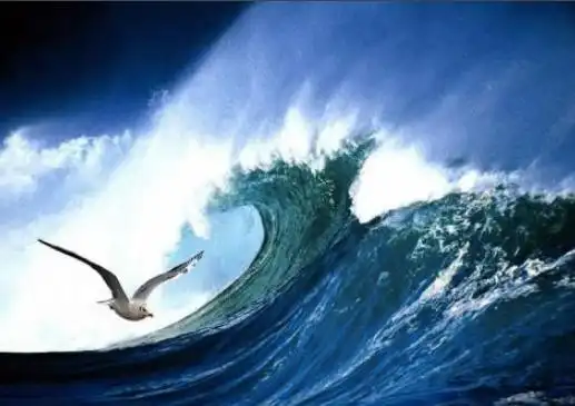 高尔基的《海燕》全文