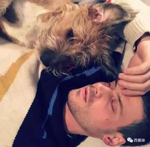 加拿大帅气男星勇敢出柜双性恋谁说双性恋都是海王