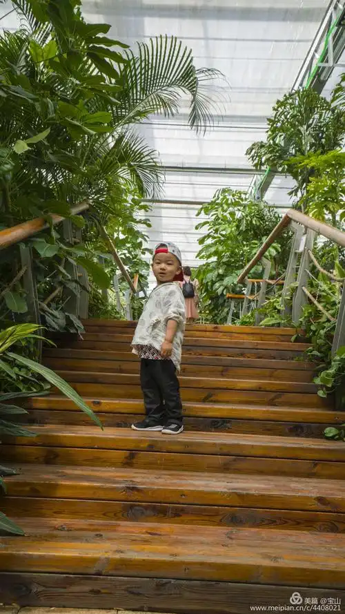 四季公园植物馆