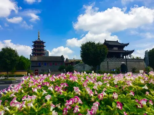 美丽的阜宁我的家