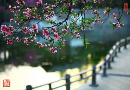 春天摄影素材丰富多样,哪些春日美景是值得去拍摄的呢?