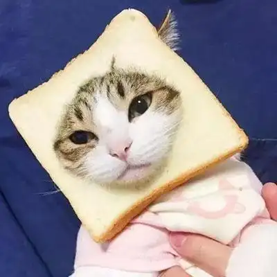 可爱搞怪情头,全部是动物系小狗狗小猫咪的-搞笑头像