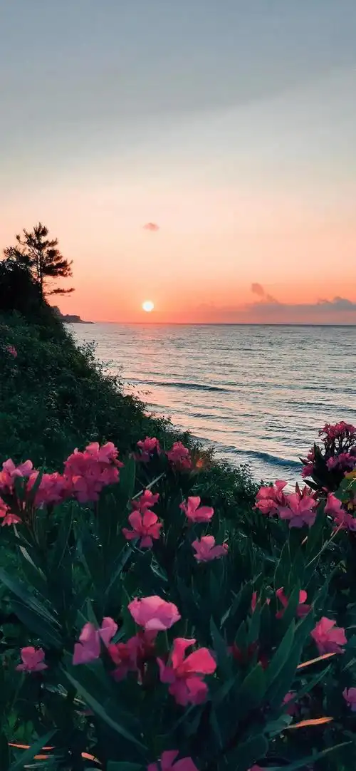 手机壁纸高清全面屏手机壁纸超好看潮流