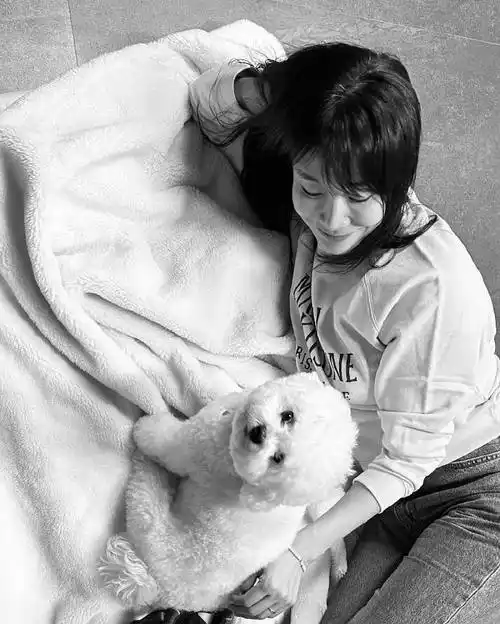 宋慧乔ins##宋慧乔