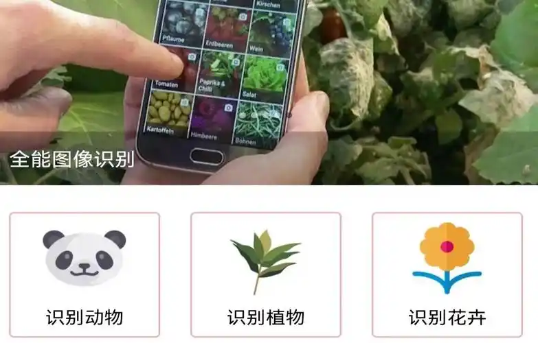 最新识图软件app下载免费排行榜