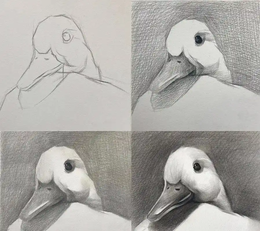 适合初学者画的素描鸭子,通过剪影形和几何 - 抖音