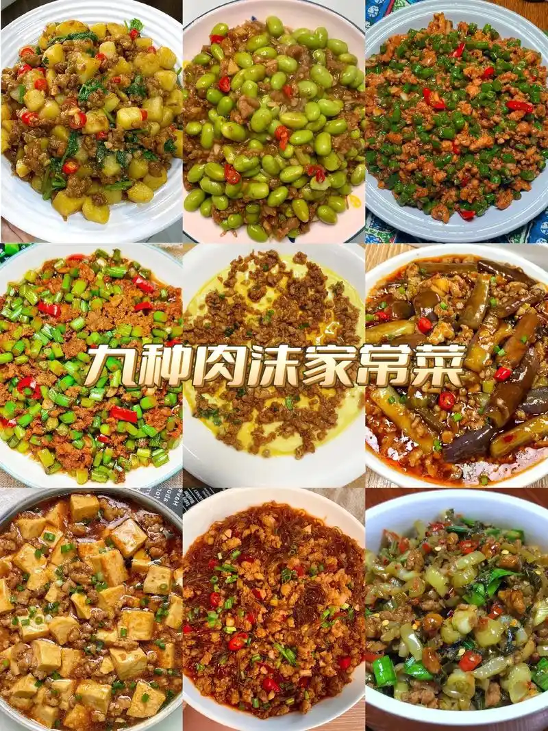 九种肉沫的家常菜做法来了!#图文伙伴计划 #在家做美食 #肉 - 抖音