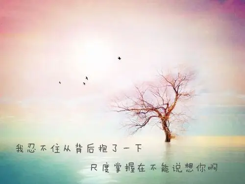 那些触动心弦的歌词