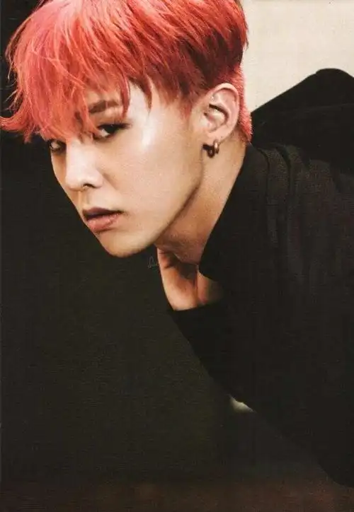 权志龙 明星简介