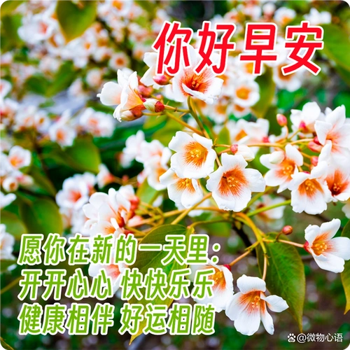 漂亮的清晨早上好祝福图片,问候有心人,祝福永牵挂