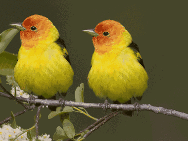 400_300gif 动态图 动图