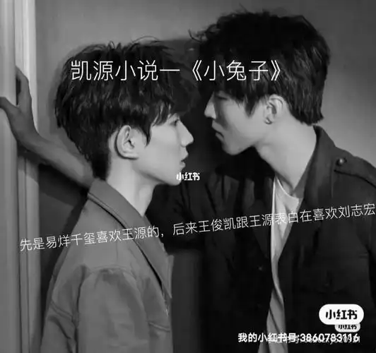 凯源小说一小兔子