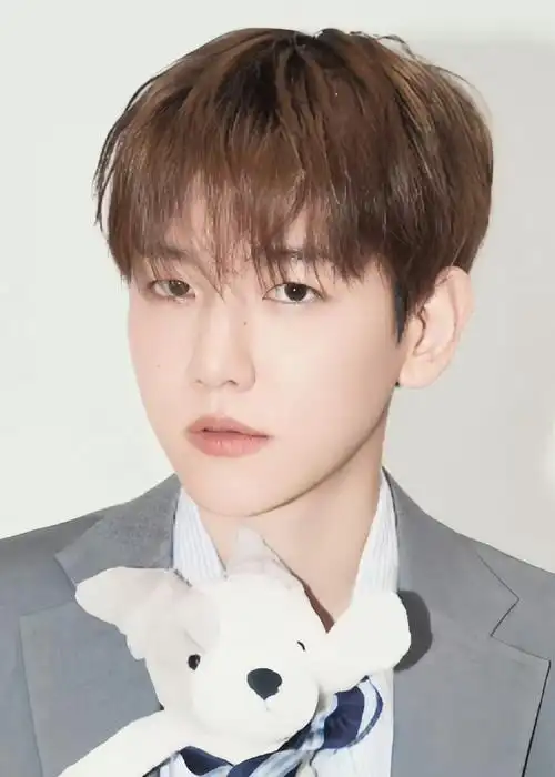 边伯贤#证件照好看的秘诀是脸