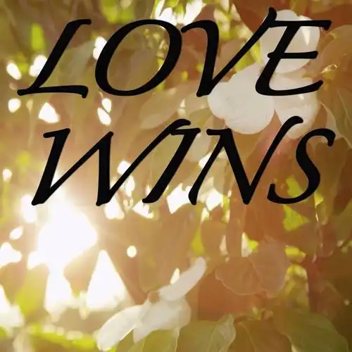 love wins(tribute to carrie underwood, instrumental version)