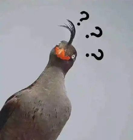 歪头的表情包合集有没有想我鸭