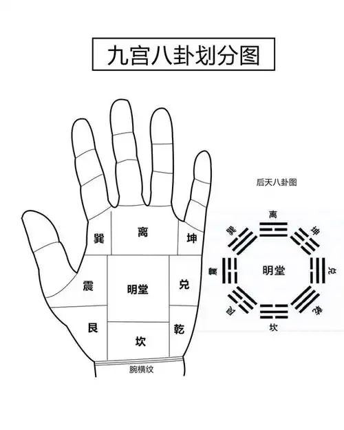 手掌星丘与八卦!值得学习