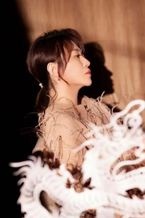 omg马丽演员马丽最新的光影写真释出拿着龙年元素的马丽