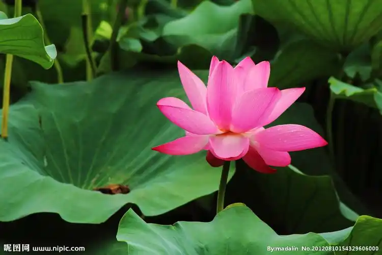 博客搜索_新浪搜索_新浪网