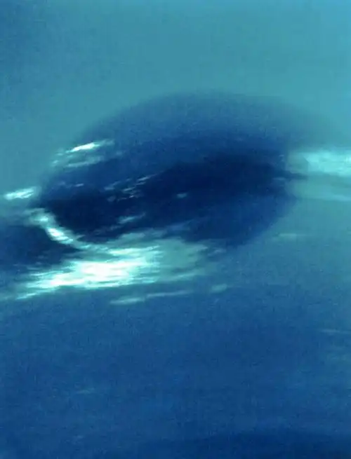 鼻尖上的行星海王星