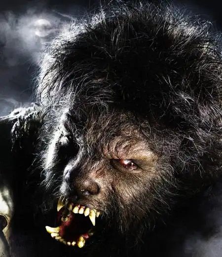 本尼西奥-德-托罗化身新"狼人"(图)