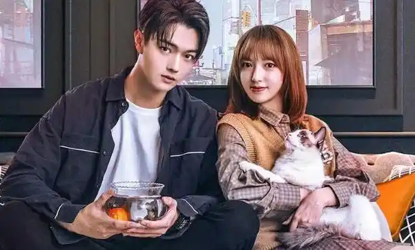 许凯和程潇合作哪些剧