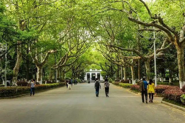 名校掠影——南京大学校园风光欣赏(鼓楼校区)