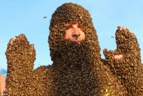 密集恐惧症噩梦加拿大举办蜜蜂胡子比赛图3