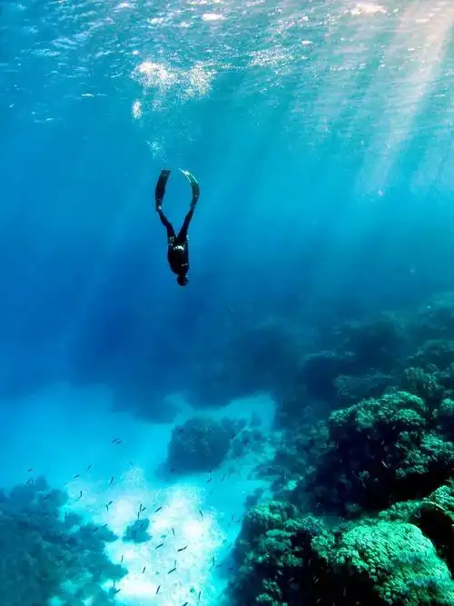 潜水是有瘾的,也就一生那么长吧