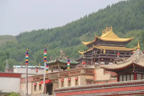 俯瞰大金瓦殿 塔尔寺