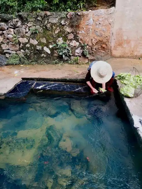 泉眼无声惜细流