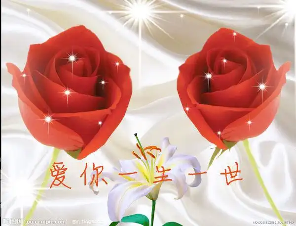 谁能帮我做一张我爱你一生一世的图片,里面必须要有玫瑰花