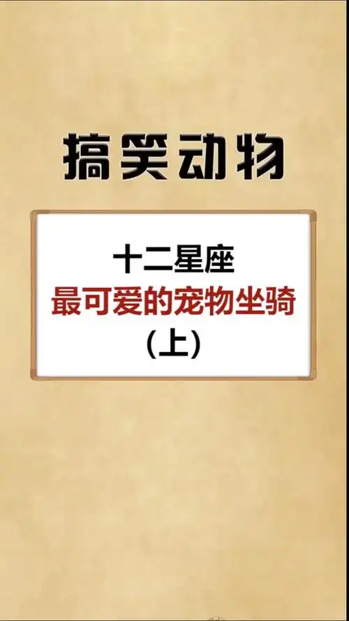 搞笑萌宠#十二星座,最可爱的宠物坐骑(上)
