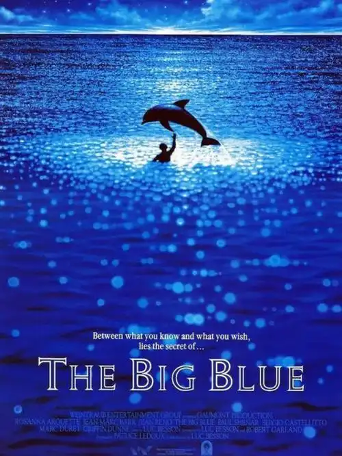 碧海蓝天┇梦想与自由的蓝天